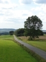 Weg mit Baum
