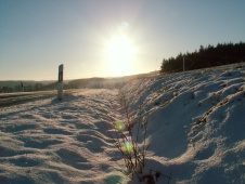 Winterlandschaft