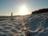 Winterlandschaft