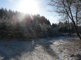 Winterlandschaft
